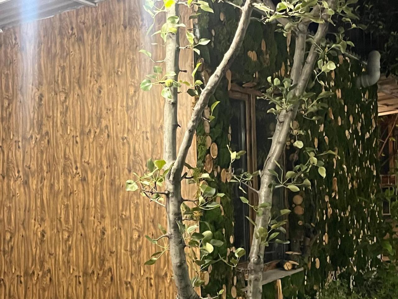 Andranik B&B Goris Exterior foto